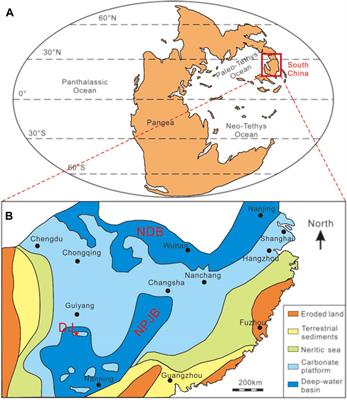 High resolution C-isotopic data from microbialites in the aftermath of the end-Permian mass extinction in South China